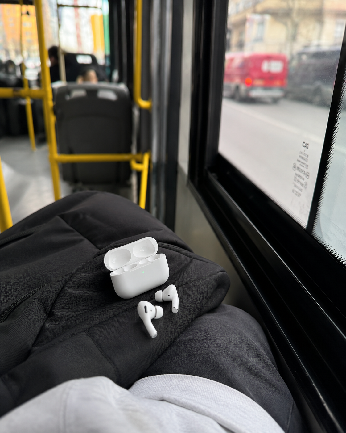 Mi compañero de viaje